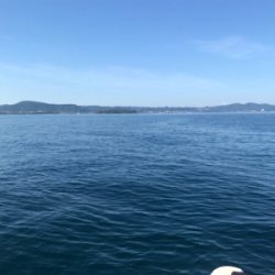 レンタルボートで船長デビュー