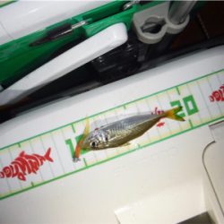 スリリングな攻防！