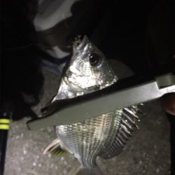 メッキ来た〜 (^O^)