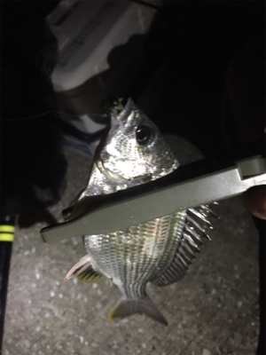 メッキ来た〜 (^O^)