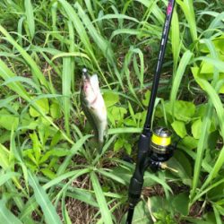 バスを探して出勤