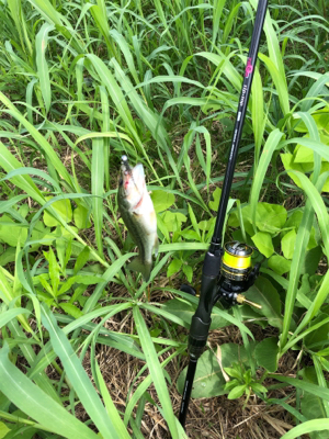 バスを探して出勤