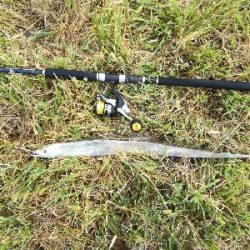 LSJigginger0700〜0730