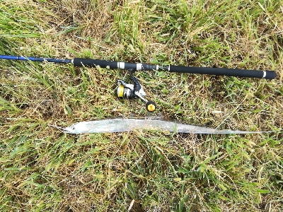 LSJigginger0700〜0730