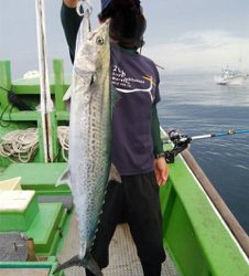 孝洋丸 落とし込み