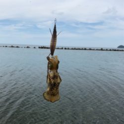 今年は遅い⁉︎