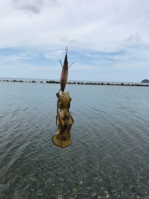 今年は遅い⁉︎