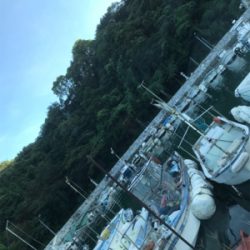 久々ライトゲーム