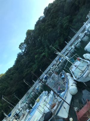 久々ライトゲーム