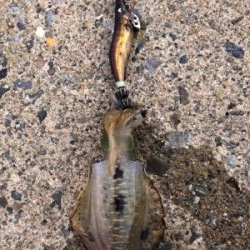 海が呼んでるんですもの♡