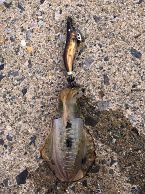 海が呼んでるんですもの♡