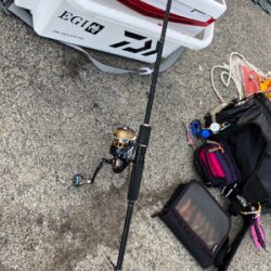 シンコ調査第二弾