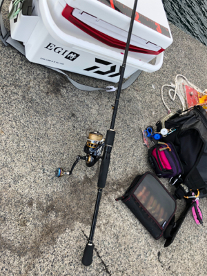 シンコ調査第二弾