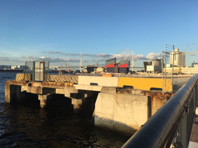 天保山 中央突堤 アジング修行のはずが…