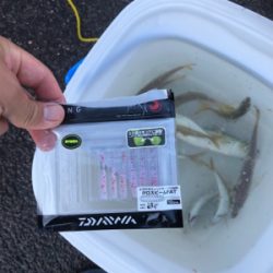 レズロスを買ったので試し投げに……