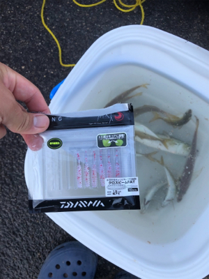 レズロスを買ったので試し投げに……