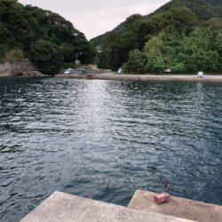 シンコ調査第３弾