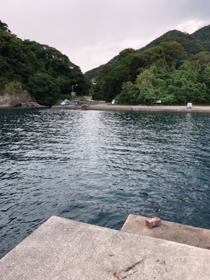 シンコ調査第３弾