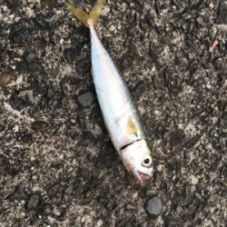 あかん日もある