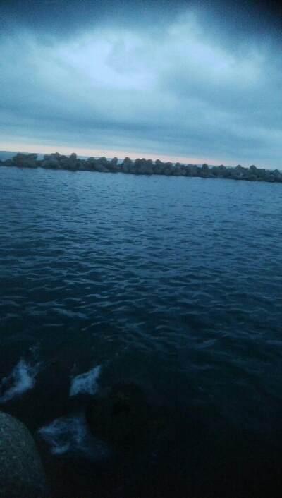 アオリイカ3杯！！　小キジハタ5匹