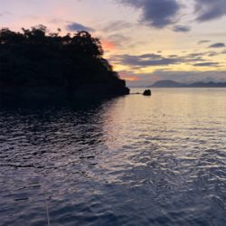 シンコ調査第4弾