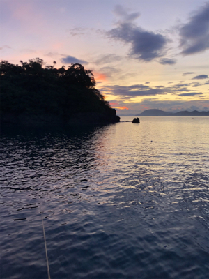 シンコ調査第4弾