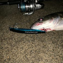 AbuGarcia ワンカレント