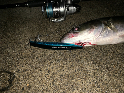 AbuGarcia ワンカレント