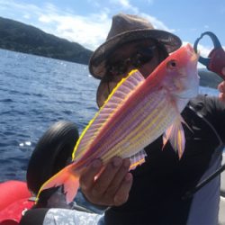 マイボートでアマダイ狙い