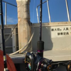 初タチウオジギング