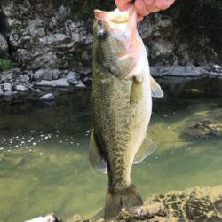 暑い中での釣り