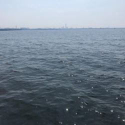 青物狙いのショアジギングで釣れた魚は?