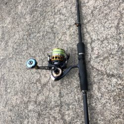 シンコ調査第６弾