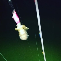 エギング釣行その４１