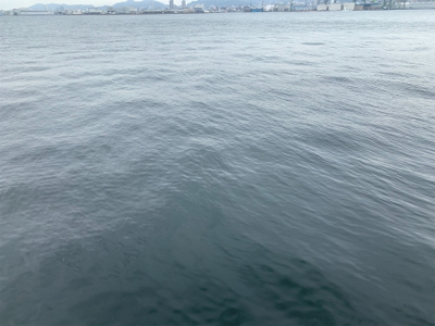 爆釣ツバス〜ハマチ♫