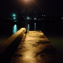 開始早々セイゴ