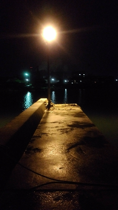 開始早々セイゴ