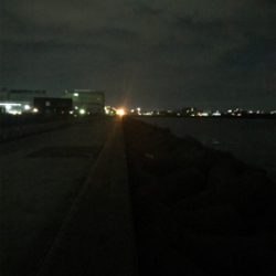 連日アオリGET (^^)/