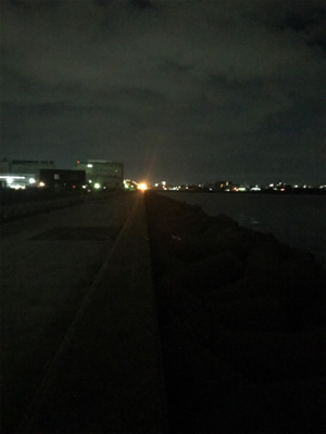 連日アオリGET (^^)/