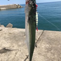 久々のショアジギング