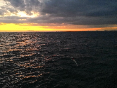 太刀魚釣り本番か?
