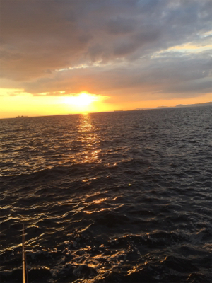 今期初タチウオ