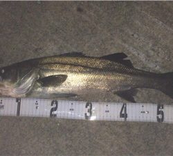 会社の駐車場で…