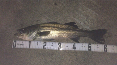 会社の駐車場で…