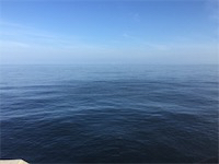 貝塚人工島ハマチ好調！