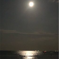 お月見からの〜ツバス