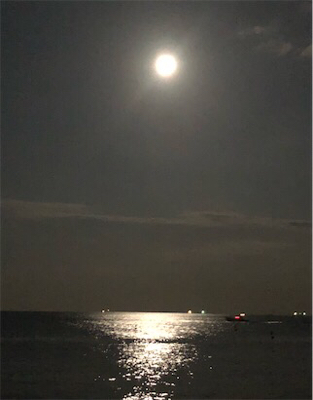 お月見からの〜ツバス