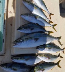 短時間で入れ食い！