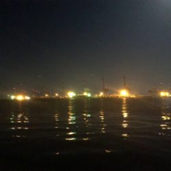 青物パラパラ タチウオ回遊なし