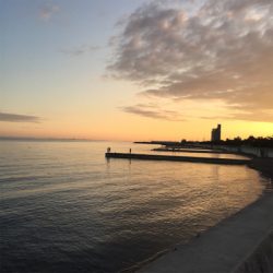 ミッドナイトアジング